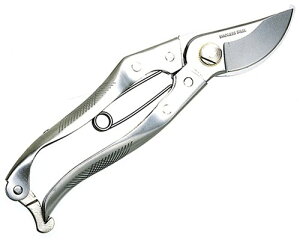 L{V(Kinboshi)    XeX8 200mm 2248