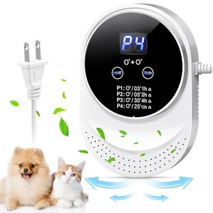 I] yPSEF؍ρz300mg/h I]EL@ ƒp C@ ^ ͏L  ELu EL@ É EL y{dlEdCpiS@ztB^[sv Lb`AgC