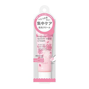 GeZ NCbNPAN[ ̍ wN[ lCEnhN[ 30g