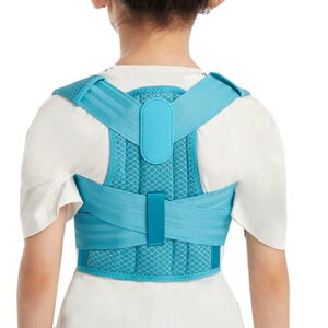 World Bridge pT|[^[LbY w؃xgq pxgq Lw␳ t (u[, M)