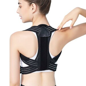 yLwpցz pT|[^[ pxg Lwxg p yp𐮂wؕ␳Ajpz (L g160`180cmA60`75kg)