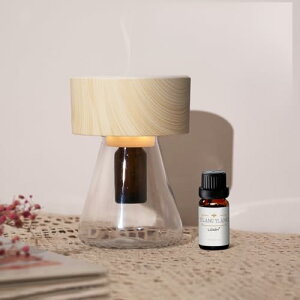 LOXIM A}v A}fBt[U[+CC A}IC10ML Ȃ luCU[ R[hX RpNg Type-C[d {gDIY\ bNX///NObY j