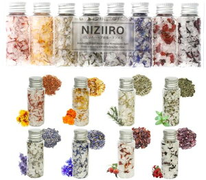 NIZIIRO ɂ n[u ≖ oX\g  8{Zbg ŷ܂ܓnz v[g v`Mtg Mtg  A\[g