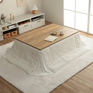 CPqR  zc ` sAX ȃXy[X Xm[zCg 180×220cm n 炩 ӂӂ tF~j #6843329