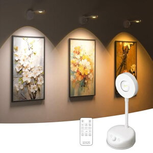 1 uPbgCg ǗpsN`[Cg 2000mAh USB[d EH[v LEDԐڏƖ  3F iK lZT[ Ǌ|Cg Rt Hsv ȃGl Px X