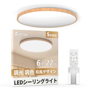 Antree LEDV[OCg 6 22W 3000LM d铔 F afUC VƖ ȃGl&ڂɗDƖ V dC Ceiling Light a/Q//rO//Lb`/LɍœK (ԊO