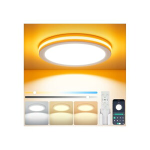 Coizabera LedV[OCg 6 28W 3200lm F ԐڏƖ 铔  ɔ^ V Ɩ dC u Ceiling Light 6 a/Q//rO//䏊/LKpyRt APP