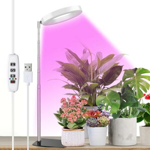 _ A琬Cg LED X^h ͔|Cg 莞@\i3H / 9H / 12Hj10iK̒ ߉\ ȃGl  z͋[ USBd c؍͔| ƒ؉ ͔| |pi (zCg 1,