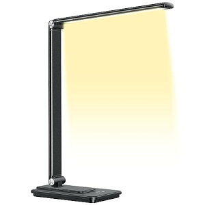 y2024VoEȃGlڂɗDz fXNCg 邢 ledCg Ɩ iK 5iKF Px X^hCg fXN Cg USBd dCX^h  ledfXNCg ܂