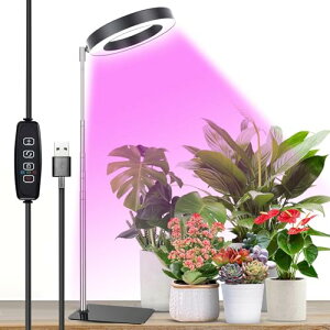 _ A琬Cg LED X^h ͔|Cg 莞@\i3H / 9H / 12Hj10iK̒ ߉\ ȃGl  z͋[ USBd c؍͔| ƒ؉ ͔| |pi (ubN 1,