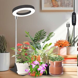 ADLWJS ACg LED A琬Cg ϗtA Cg X^ht 10iK 莞@\ ߉\ ȃGl  z͋[ USBd ͔|p ubN