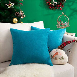 Topfinel NbVJo[ lۂ 45×45cm k  Ȗ n \t@w Jo[ zcJo[ u[ 2ZbgiS10Fj