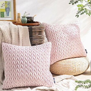 Phantoscope NbVJo[ xxbgv[c k 2  e͐ LeBO \t@w   n2WAY sN 45×45cm