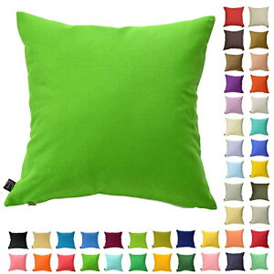 NbVJo[ 45cm×45cm Jt FWJ  |GXe CeA \t@ Vv ֎q xbh Jo[ zc n  k (GhO[)