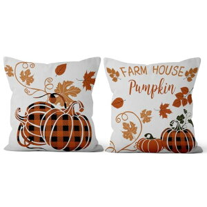 Qinunipoto H̃NbVJo[ 45×45cm-2g ڂ pvL gt ?  VvzcJo[ Bt@Xi[ xbh CeA ItBX ֎q XNGAs[P[X w