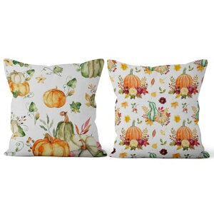 Qinunipoto NbVJo[ H 45×45cm-2Zbg  t ڂ \t@w ?X[ zcJo[ XNGAs[P[X Jo[ \t@/Q/ItBX/JtF/ԓ