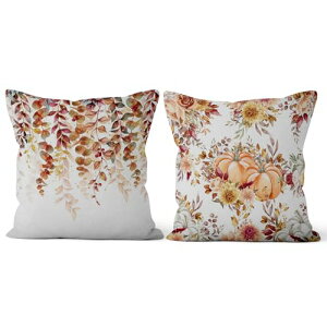 Qinunipoto H NbVJo[ 45×45cm 2Zbg ڂ gt  ?zcJo[ xbh CeA ItBX ֎q XNGAs[P[X w Jo[