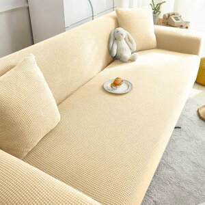 HOMNAVO \t@[Jo[ h Xgb` 2l|  \t@[Jo[ It IȂp ̌^ tBbg^Cv Lт ~ یJo[ ce L LYh~ ho l