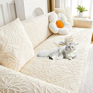 OSONA \t@[Jo[ 3l| It k Jo[t \t@[Jo[ ̌^ ~ Lkf _炩 Xgb` L΍  \t@[xbhJo[ n ܂Ƃh~ t