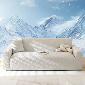 ⊴\t@Jo[ 3l| ڐG Ђ NbVJo[1t \t@[Jo[ sofa coverXgb`  Lk n _炩 z h_j RۖhL 􂦂 (3l|, O[)