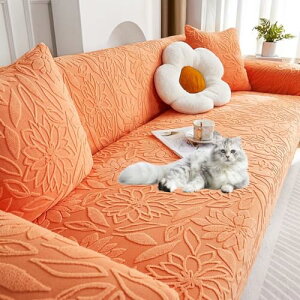 OSONA \t@[Jo[ 3l| It k Jo[t \t@[Jo[ ̌^ ~ Lkf _炩 Xgb` L΍  \t@[xbhJo[ n ܂Ƃh~ t