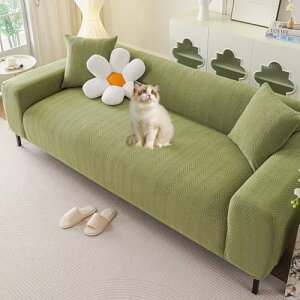 HIMENO \t@[Jo[ Xgb` 5l|  \t@[Jo[ It IȂp Xgb`\t@[Jo[ Lkf Lт ~ \t@[یJo[  ce tBb