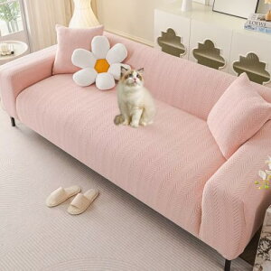 HIMENO \t@[Jo[ Xgb` 5l|  \t@[Jo[ It IȂp Xgb`\t@[Jo[ Lkf Lт ~ \t@[یJo[  ce tBb