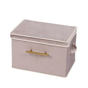 �y���[�{�b�N�X�E���[�P�[�X�E�܂肽���݁z ���c�R�[�|���[�V����(Takeda corporation) �s���N 38×26×26cm �f�U�C���X�g���[�WBOX�W�t��PI E2-YF26PI