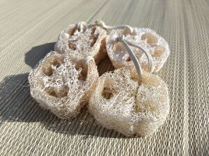 4or8or16 ւ܂킵 w`}X|W ֐؂^Cv Lb`X|W 䏊pX|W H􂢃X|W [֑