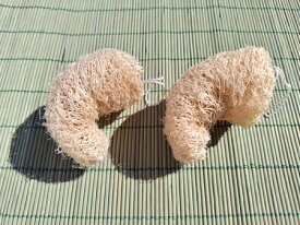 2個or4個or8個 へちまたわし ヘチマスポンジ 泡立てスポンジ 泡立てネット 100％食物繊維 脱プラ メール便送料無料