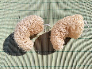 2or4or8 ւ܂킵 w`}X|W AăX|W Aălbg 100H@ Ev [֑