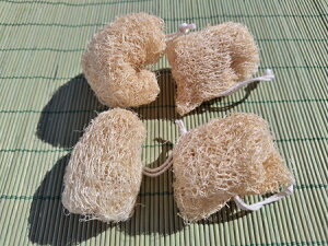 4or8or16 ւ܂킵 w`}X|W L[u^Cv Lb`X|W 䏊pX|W H􂢃X|W [֑