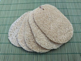 5枚×1セットor×4セットor×8セット へちまたわし ヘチマスポンジ キッチンスポンジ 台所用スポンジ 食器洗いスポンジ 使い切りタイプメール便送料無料