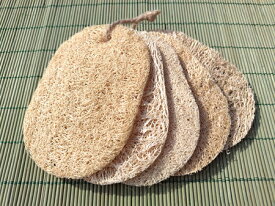 5枚連結 へちまたわし ヘチマスポンジ キッチンスポンジ 台所用スポンジ 食器洗いスポンジ 使い切りタイプメール便送料無料