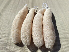 【送料無料】4個セット へちまたわし ヘチマスポンジ キッチンスポンジ ミニサイズ 台所用スポンジ 食器洗いスポンジ