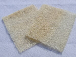 y󂠂iz ւ܃X|W STCY  {fBX|W H􂢃X|W Lb`X|W