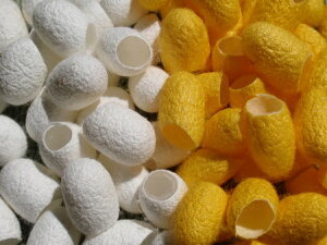 󂠂i  ܂ 20 [  XLPA VN \ s[O NWOьPA ZV