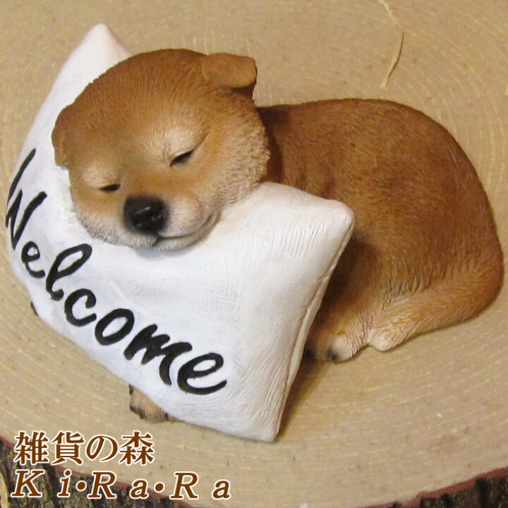 楽天市場 犬の置物 柴犬 お昼寝中 白クッション しばいぬ しばけん ワンちゃん いぬ オブジェ リアル ドッグ モチーフ 毛並み こだわり オーナメント ガーデニング 愛嬌 カフェ インテリア ベランダアート 雑貨の森 Ki Ra Ra