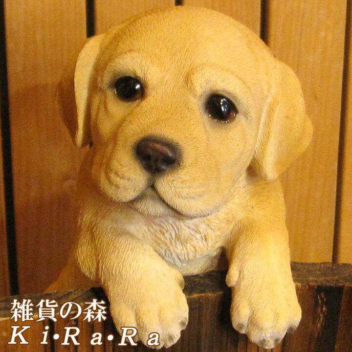 楽天市場 犬の置物 ラブラドールレトリバー ぶらさがりドッグ ワンちゃん いぬ オブジェ リアル ドッグ モチーフ 毛並み こだわり オーナメント ガーデニング 愛嬌 カフェ インテリア ベランダアート 雑貨の森 Ki Ra Ra