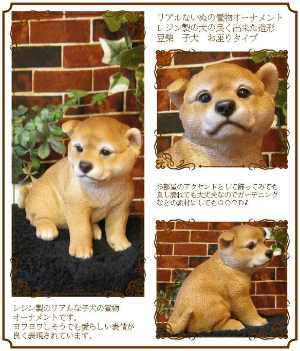 楽天市場 犬の置物 柴犬 秋田犬 お座りｂタイプ 日本犬 ワンちゃん いぬ オブジェ リアル ドッグ モチーフ 毛並み こだわり オーナメント ガーデニング 愛嬌 カフェ インテリア ベランダアート 雑貨の森 Ki Ra Ra