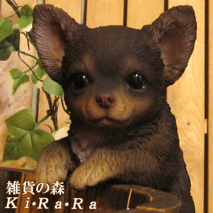 楽天市場 犬の置物 チワワ ぶらさがりドッグ ブラウン ワンちゃん いぬ オブジェ リアル ドッグ モチーフ 毛並み こだわり オーナメント ガーデニング 愛嬌 カフェ インテリア ベランダアート 雑貨の森 Ki Ra Ra