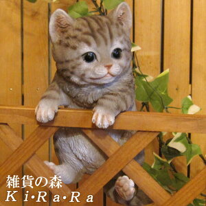 L@u A@˂@lR@Lbg@AȔL̒u@Ԃ炳xr[Lbg@O[@IuWF@K[fI[ig@@tBMA@`[t@CeA@