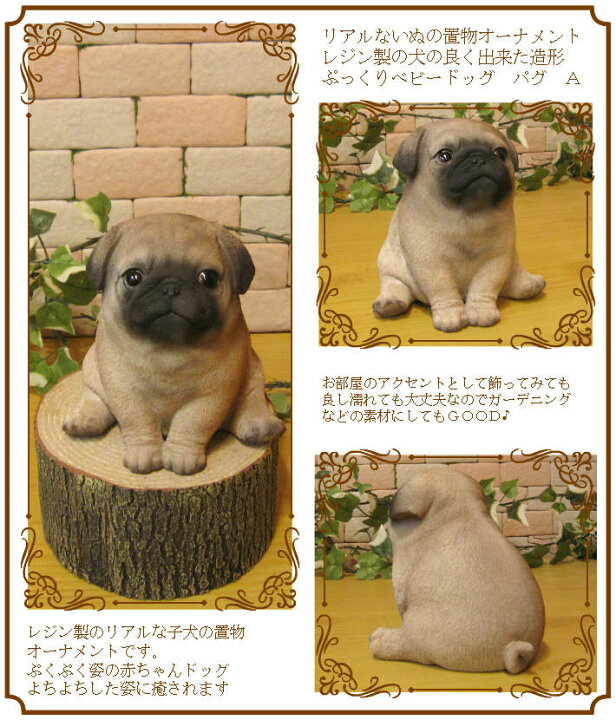 楽天市場 犬の置物 パグ ぷっくりベビーパグａタイプ ワンちゃん いぬ オブジェ リアル ドッグ モチーフ 毛並み こだわり オーナメント ガーデニング 愛嬌 カフェ インテリア ベランダアート 雑貨の森 Ki Ra Ra