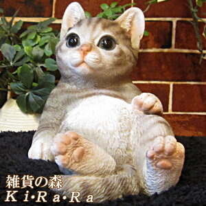 L@u A@˂@lR@Lbg@AȔL̒u@났Lbg@Qׂ@O[@IuWF@K[fI[ig@@tBMA@`[t@CeA@