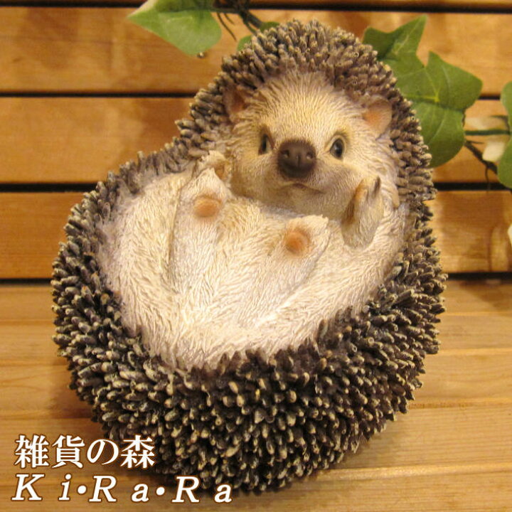 楽天市場】ハリネズミ 置物 Bタイプ 仰向けヘッジホッグ 動物 
