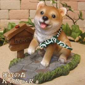 楽天市場 犬の置物 玄関 柴犬の通販