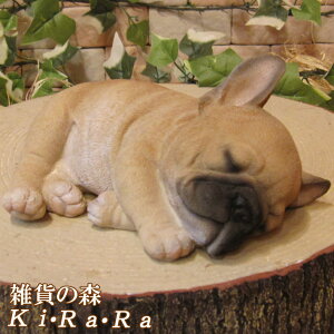 ̒u t`uhbO QIB^Cv tu   IuWF A hbO `[t ѕ  I[ig K[fjO g JtF CeA x_