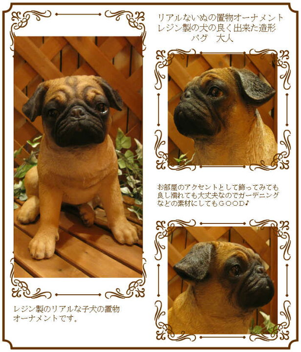 楽天市場 犬の置物 パグ 成犬 お座りラージサイズ ワンちゃん いぬ オブジェ リアル ドッグ モチーフ 毛並み こだわり オーナメント ガーデニング 愛嬌 カフェ インテリア ベランダアート 雑貨の森 Ki Ra Ra 楽天市場 犬の置物 パグ 成犬 お座りラージサイズ ワンちゃん いぬ オブジェ リアル ドッグ モチーフ 毛並み こだわり オーナメント ガーデニング 愛嬌 カフェ インテリア ベランダアート 雑貨の森 Ki Ra Ra