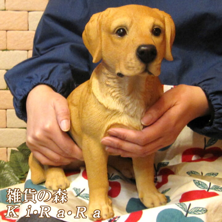 楽天市場 犬の置物 ラブラドールレトリバー お座りラージサイズ ワンちゃん いぬ オブジェ リアル ドッグ モチーフ 毛並み こだわり オーナメント ガーデニング 愛嬌 カフェ インテリア ベランダアート 雑貨の森 Ki Ra Ra