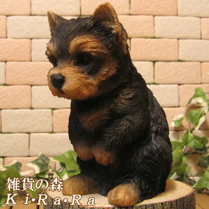 ̒u [NV[eA ĂȂhbO [L[   IuWF A hbO `[t ѕ  I[ig K[fjO g JtF CeA x_